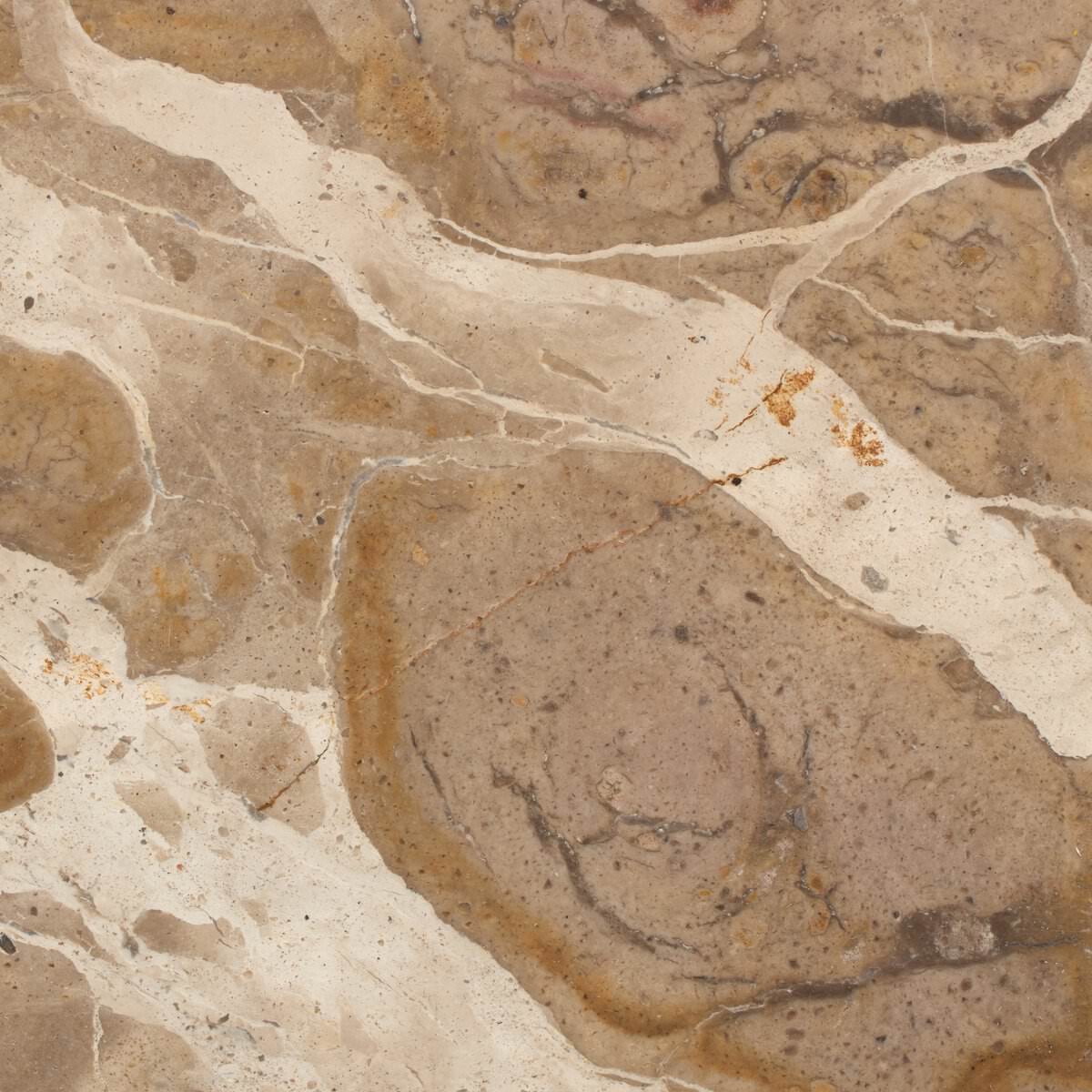 Table d'appoint Sylas à quatre mains en marbre fossile